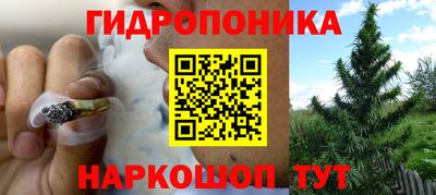 твердый Аргун
