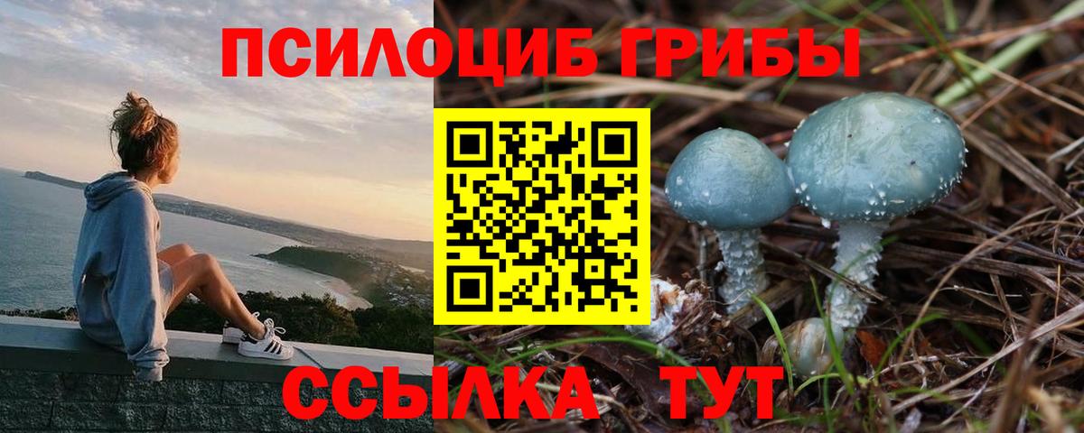 Галлюциногенные грибы прущие грибы Благодарный